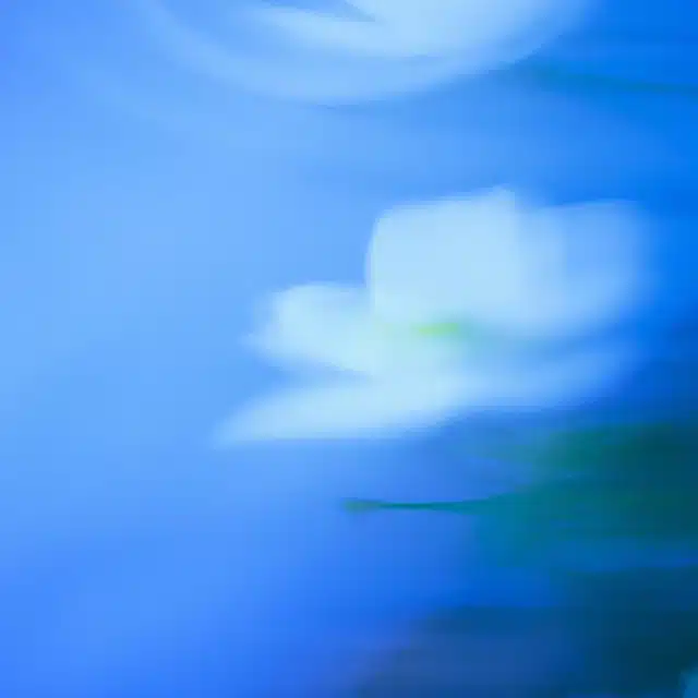 Diners Club e o início do que seria os cartões de crédito